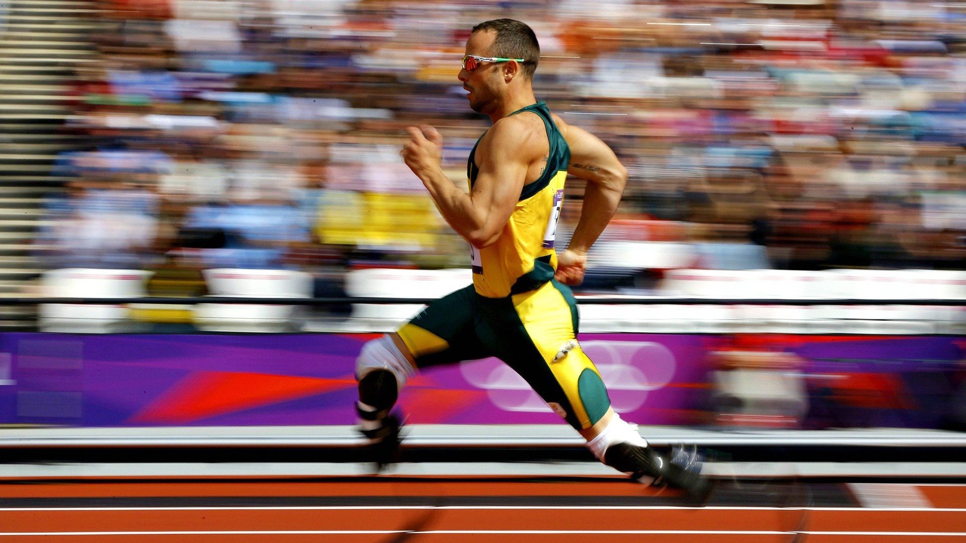 游泳世界杯：孙杨领衔中国队，金牌持续不断，游泳冠军孙杨比赛视频